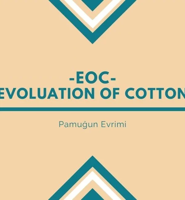 L'histoire de l'évolution du coton pour un avenir meilleur 7 L’histoire de l’évolution du coton pour un avenir meilleur