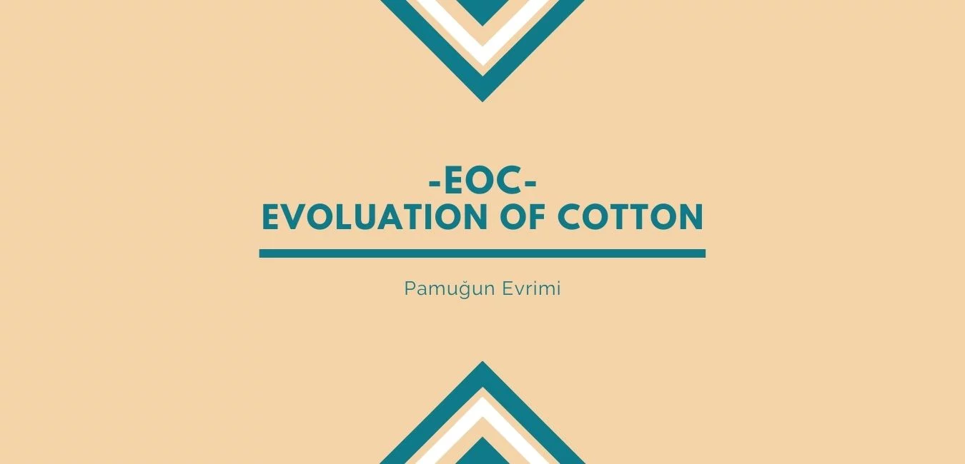 L'histoire de l'évolution du coton pour un avenir meilleur 1 L’histoire de l’évolution du coton pour un avenir meilleur
